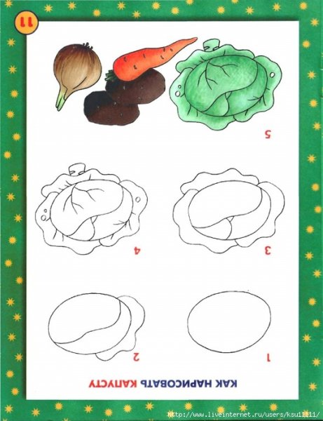Схемы рисования овощей для детей