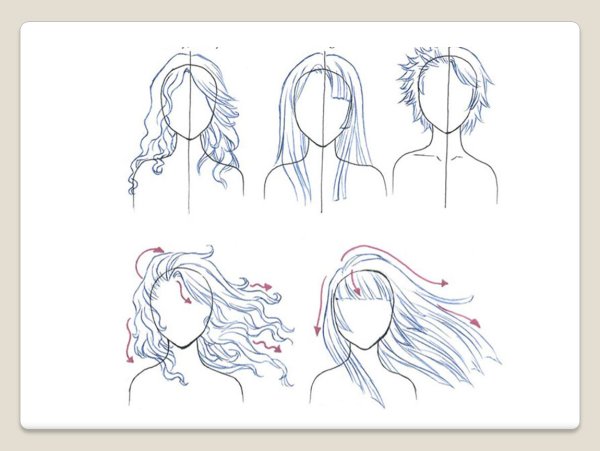 Схема девушки с волосами для рисования