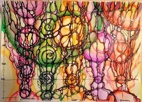 Нейролотос Нейрографика