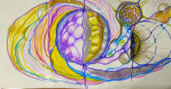 Поэтапное рисование цветы