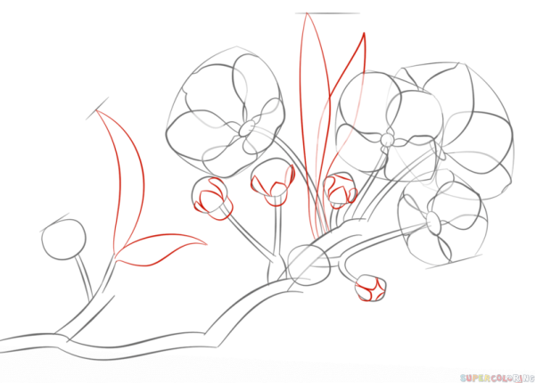 Раскадровка иллюстрации