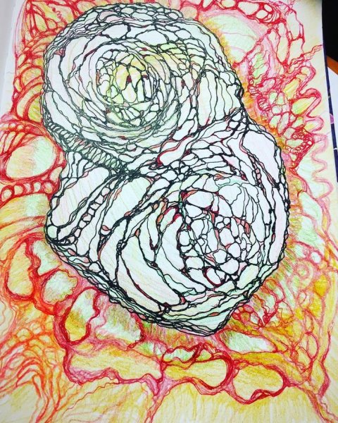 Рисуем кувшинку поэтапно