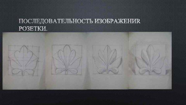 Нейролотос Нейрографика