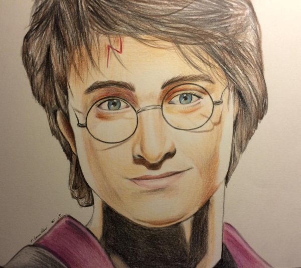Карлус Поттер портрет