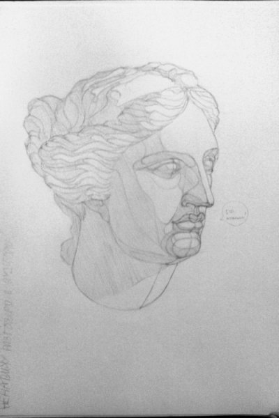 Венера Милосская гипсовая голова рисунок