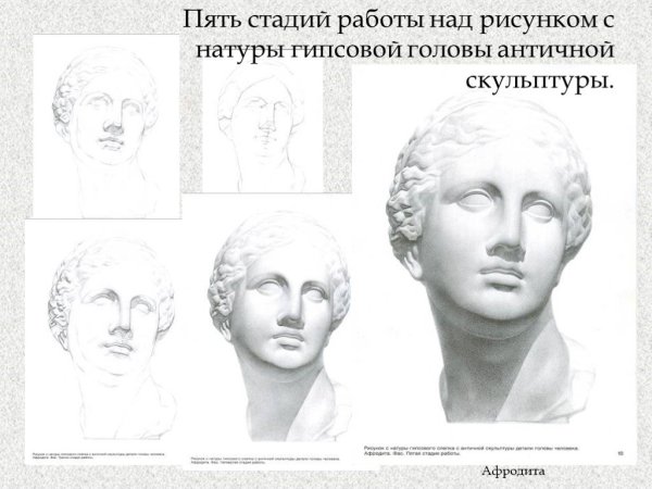Рисунок гипсовой головы Венера этапы работы