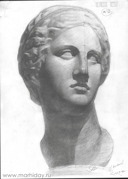 Рисунок гипсовой головы Венеры МАРХИ