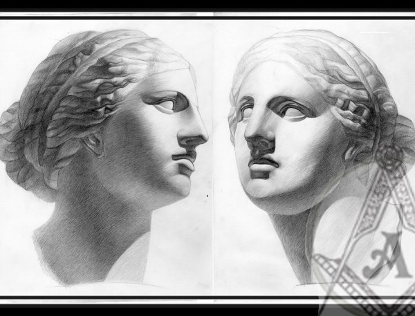 Афродита голова гипсовая МАРХИ