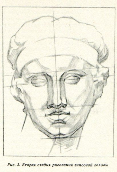 Гипсовые головы пропорции Венера