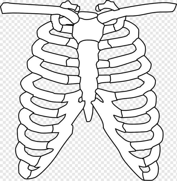 Кости Кощея Бессмертного