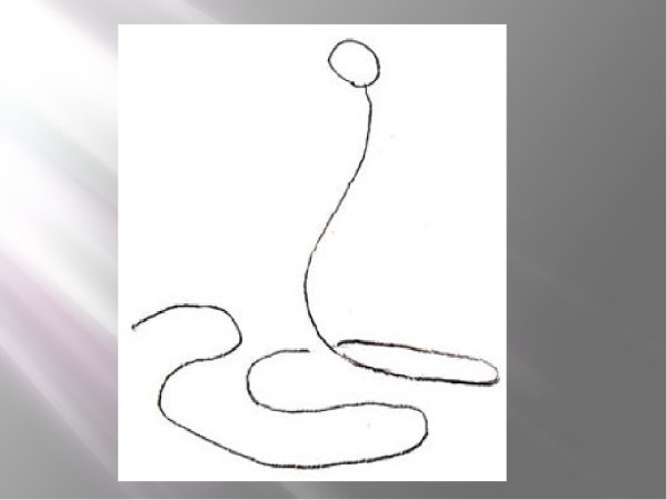 Змея пошаговое рисование