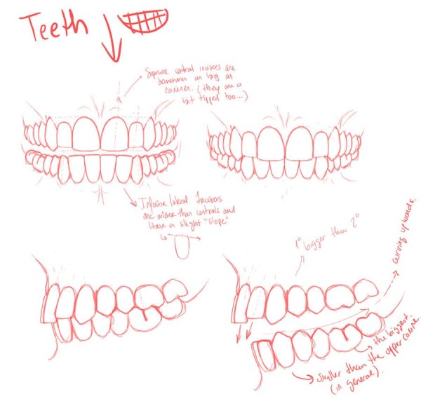Туториал рисование зубов