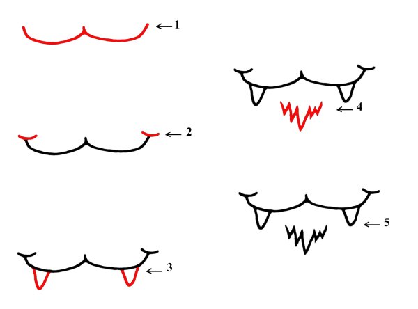 Кошачий рот нарисованный