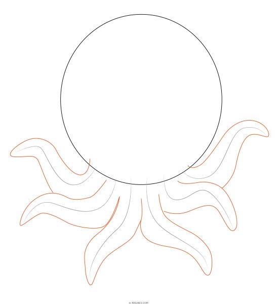 Осьминог поэтапное рисование