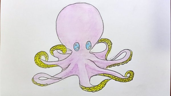 Осьминог рисунок