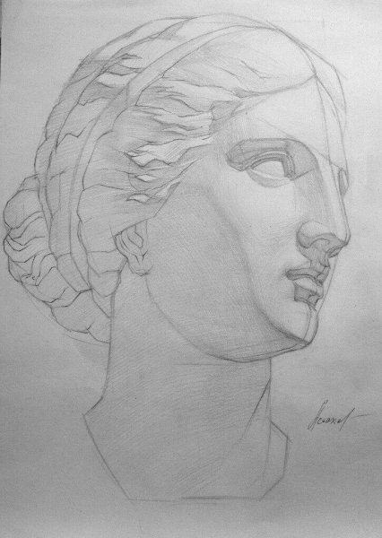 Гипсовая голова Афродиты построение