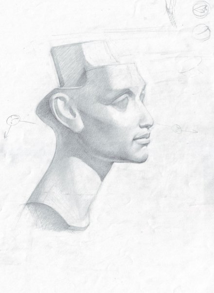 Голова Нефертити гипс