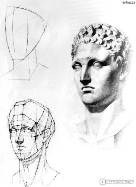 Построение гипсовой головы Гермеса