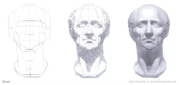 Голова Цезаря Академический рисунок