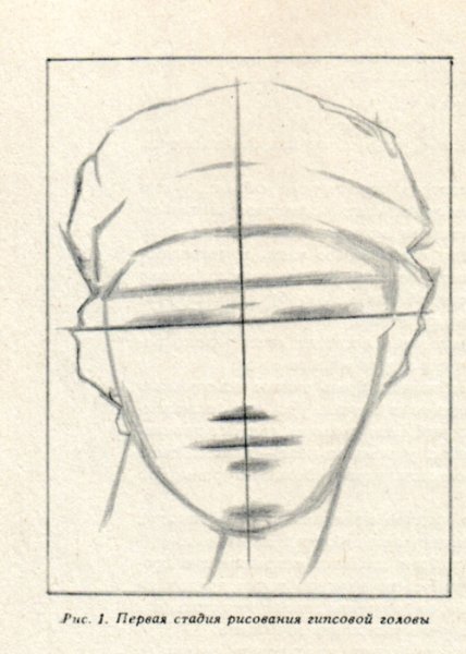 Этапы рисования гипсовой головы Дианы