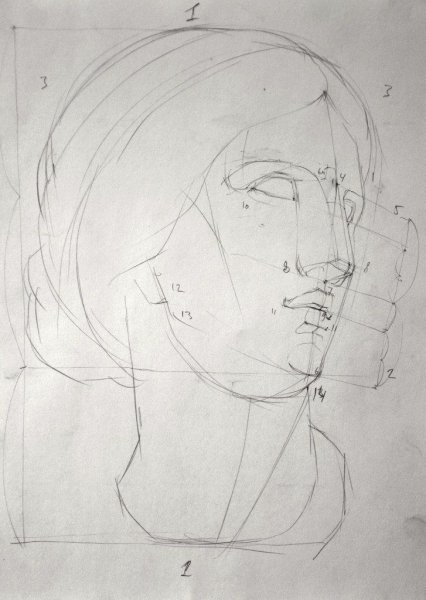 Афродита МАРХИ построение гипсовой головы