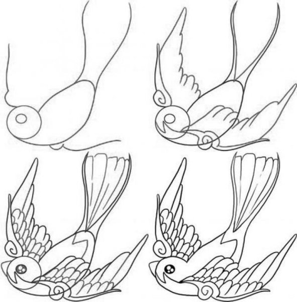 Этапы рисования ласточки