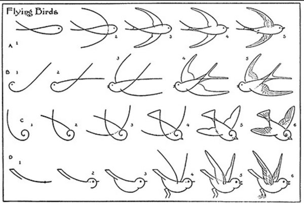 Как нарисовать ласточку