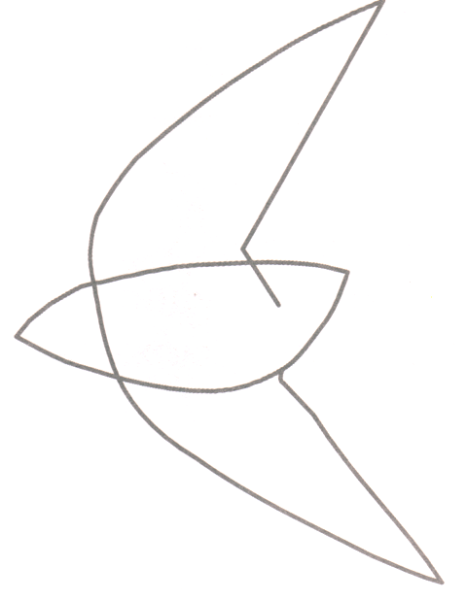 Этапы рисования ласточки