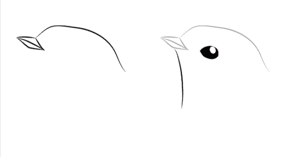 Поэтапное рисование стрижа