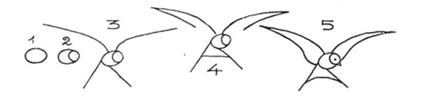 Поэтапное рисование ласточки