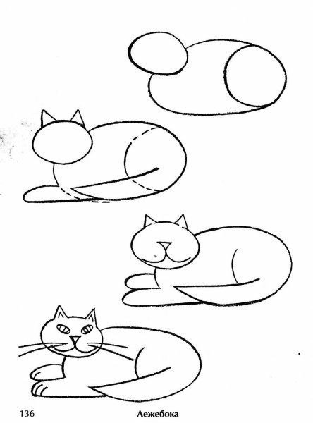 Рисование кота