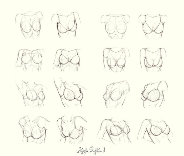 Женская грудь туториал