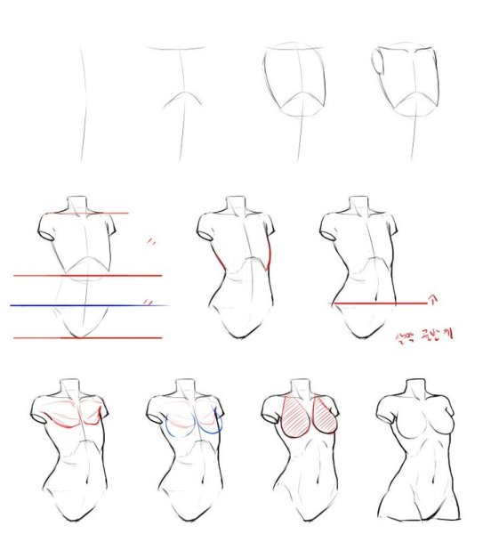 Поэтапное рисование тела