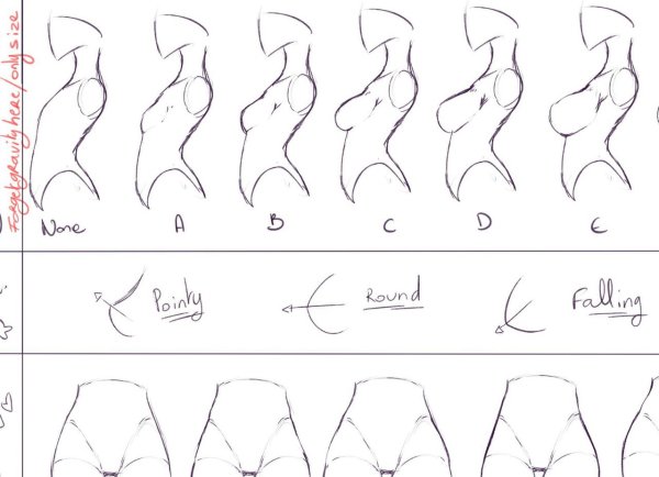 Туториал по рисованию груди
