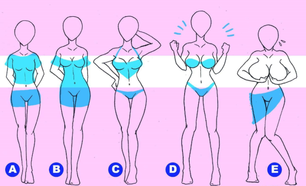 Рисовка груди