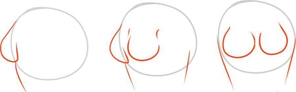 Грудь поэтапно карандашом