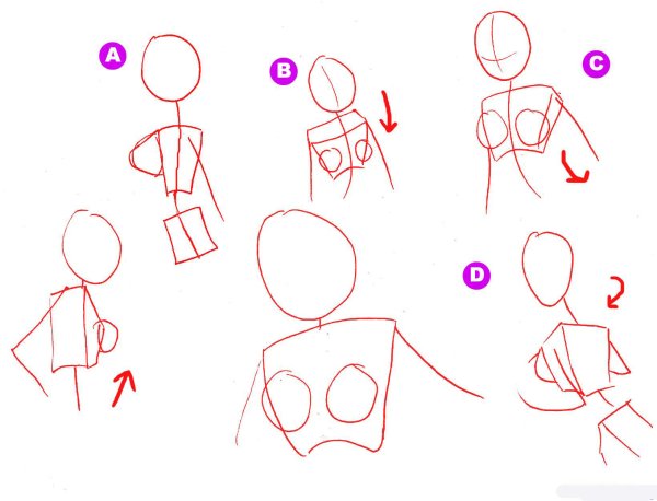 Как рисуется грудь