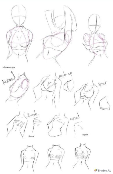 Туториал по рисованию тела