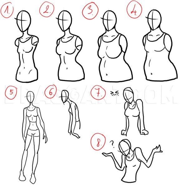 Анатомия груди для рисования