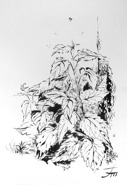 Крапива вектор