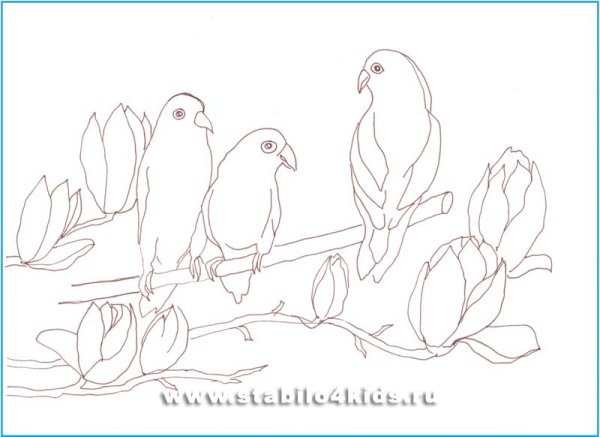 Как нарисовать канарейку