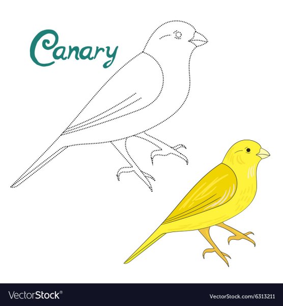 Воробей карандашом