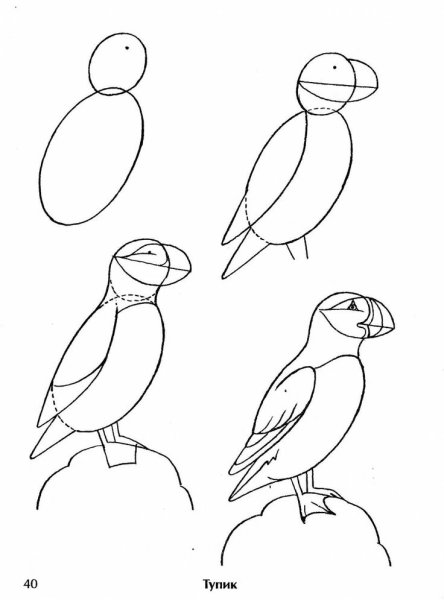 Канарейка раскраска