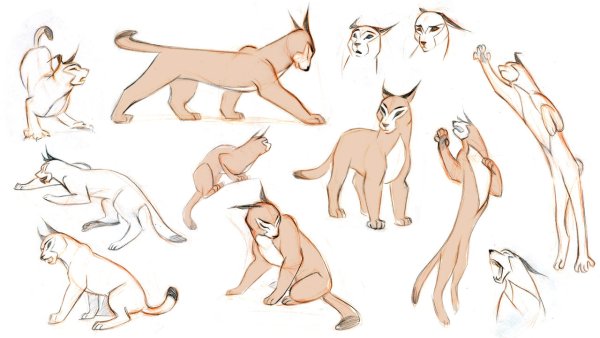 Рысь Воители референс