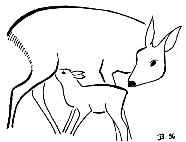 Косуля карандашом