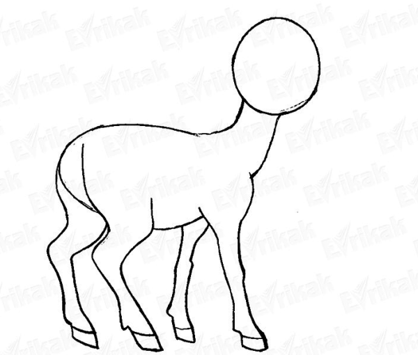 Олененок рисунок карандашом для детей