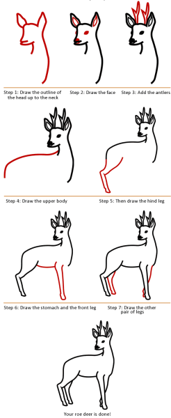 Косуля рисунок пошагово