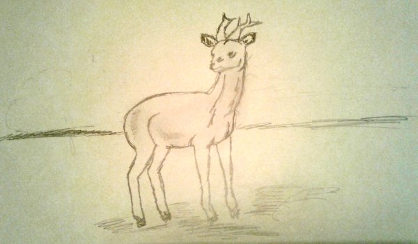 Этапы рисования оленя для малышей