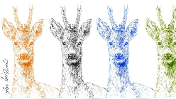 Нарисовать оленя по этапно