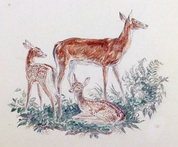 Рисование Северный олень